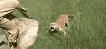 b7714252944da898945c6282cc2689d0.gif