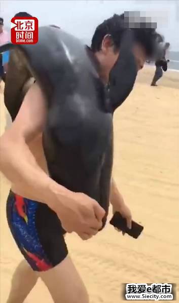 ӿߺࡣ