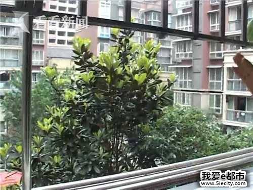 2628320138c34ed[00_01_47][20180508-092435-3].JPG
