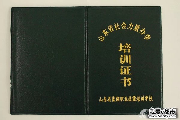 空军找上蓝翔技校联合培训:为的就是挖掘机