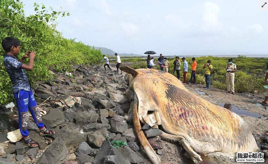 12׳ǳ ̾Ϣ̫ϧ㱻־Ͳ