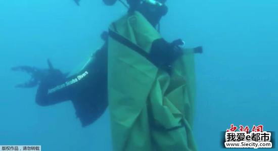 2018年11月4日讯,印尼失事客机残骸打捞工作持续,潜水员在印尼狮航客机失事海域收集客机残骸。(视频截图) 点击进入下一页