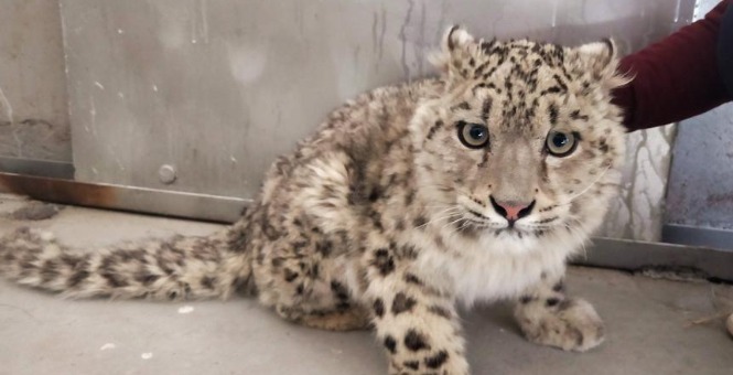 <b>شѩ Ĵ汣԰䳤ŹȻ</b>