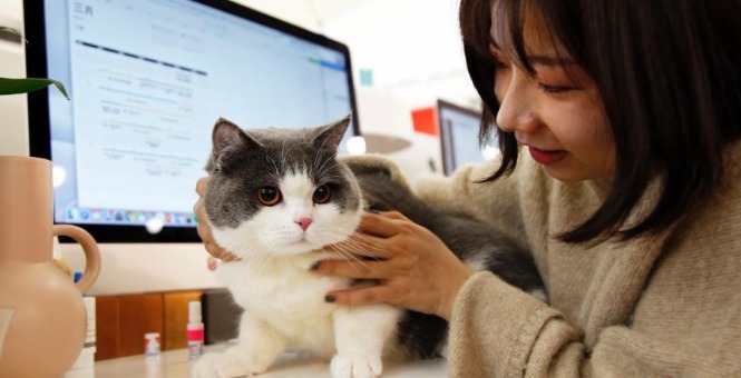 <b>ϺĳҵΪԱѹƳϰա</b>