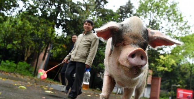 <b>봨ǿ11Խ ൱80</b>