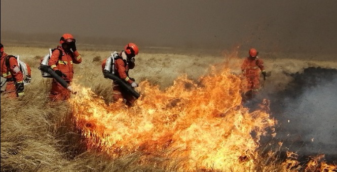 <b>ɹźױ°Ͷ췢ԭ</b>