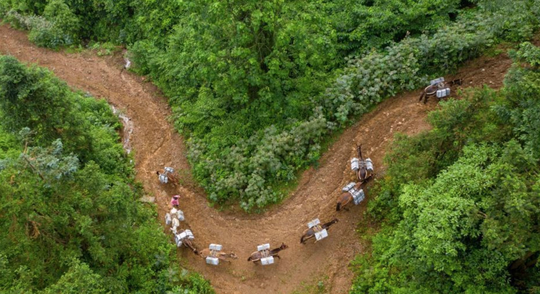 ִתսǧ ɽԳ¸·