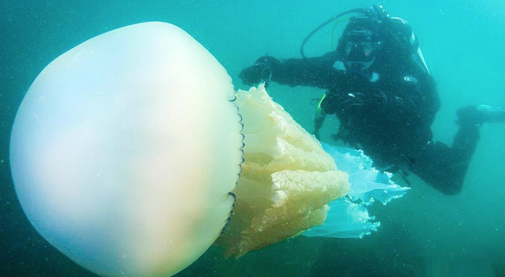 Ů볤1.5׾ˮĸײ 