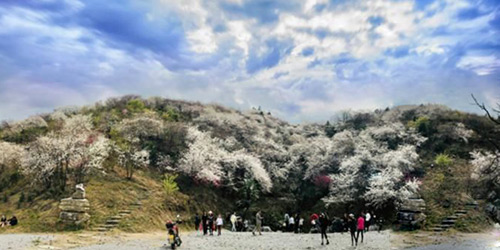 䣺Ķӣӭ