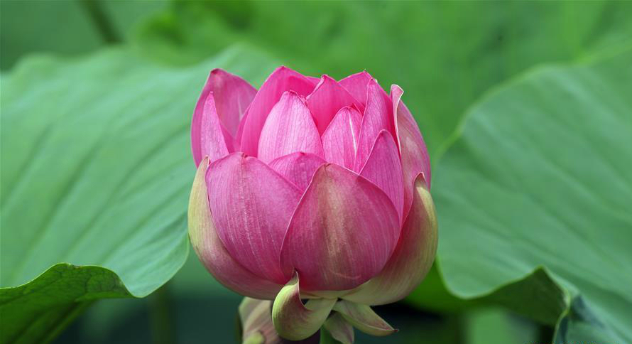 룺ʪغɻ