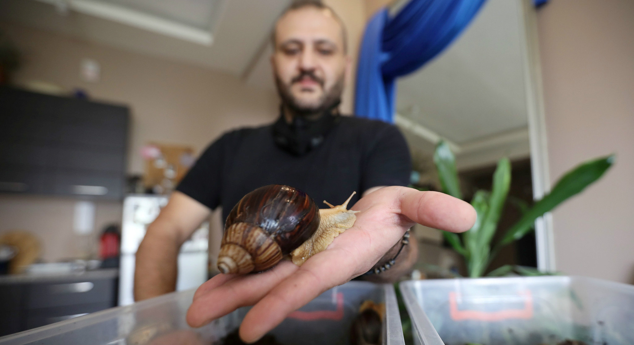 ҳԼԺؿζţ沿Ħ׷