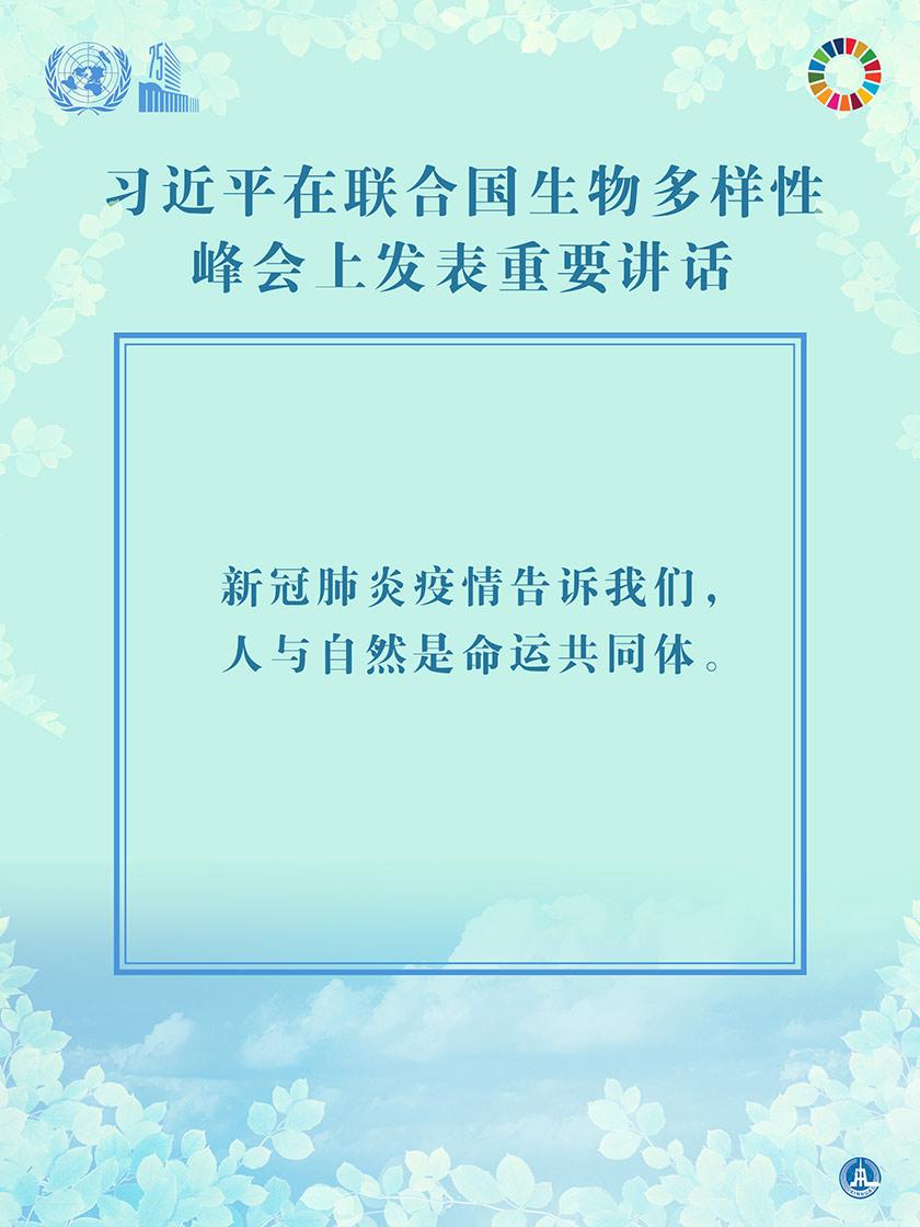 һҳ
